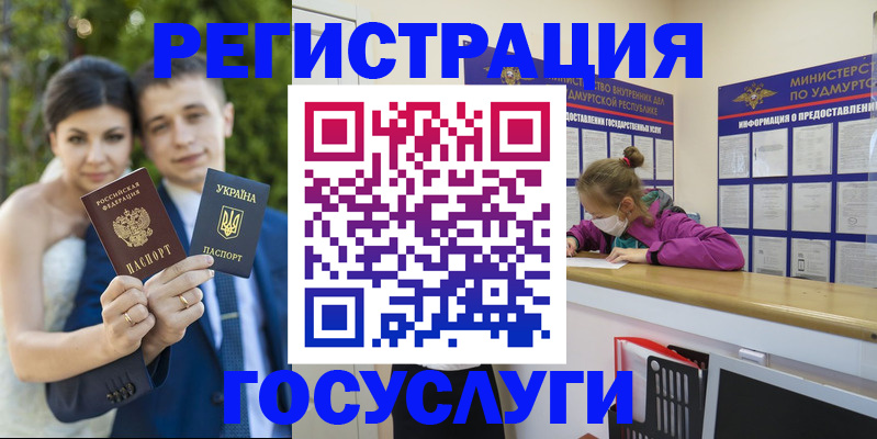 прописка поиск в Щёлково